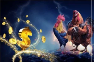 Đá Gà Moto88: Bí Quyết Thắng Lớn Từ Chuyên Gia