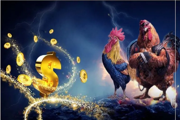 Đá Gà Moto88: Bí Quyết Thắng Lớn Từ Chuyên Gia