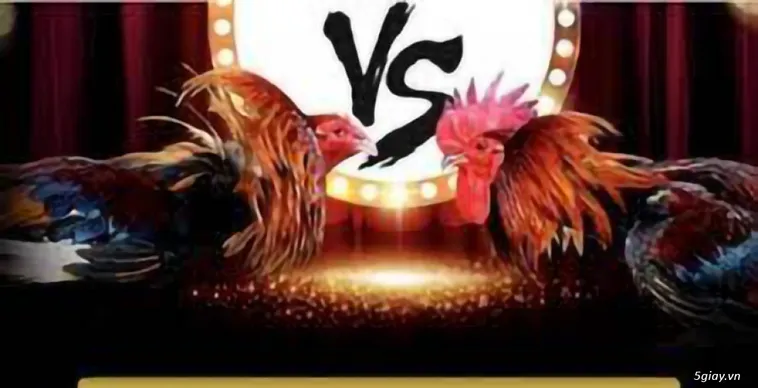 Đá Gà F8BET: Bí Quyết Thắng Lớn Cho Dân Cá Cược